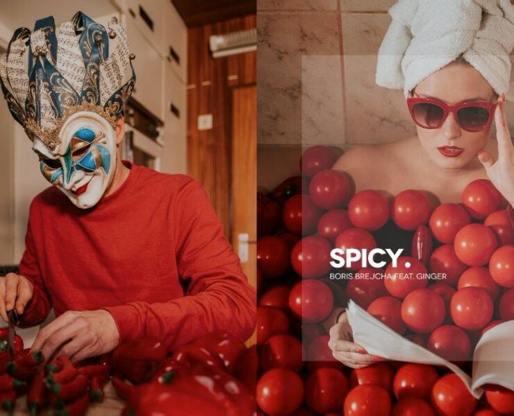 "Spicy"- Boris Brejcha feat. Ginger.