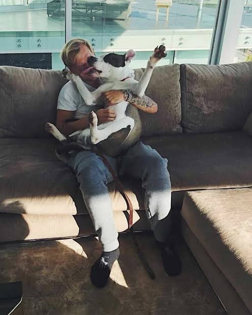Avicii 