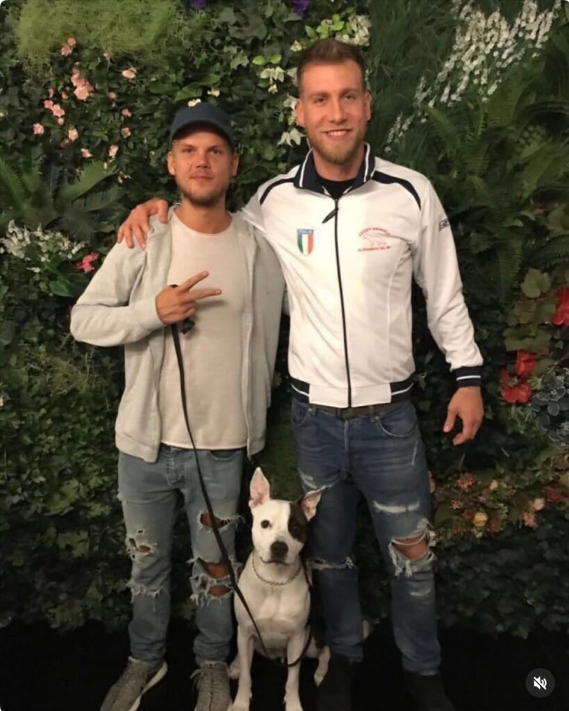 Avicii