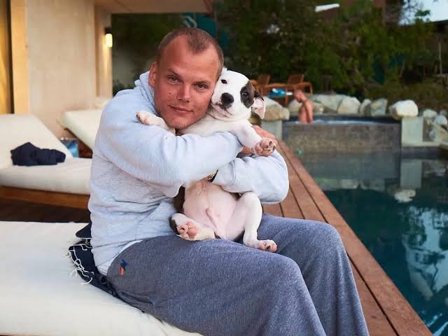 Avicii